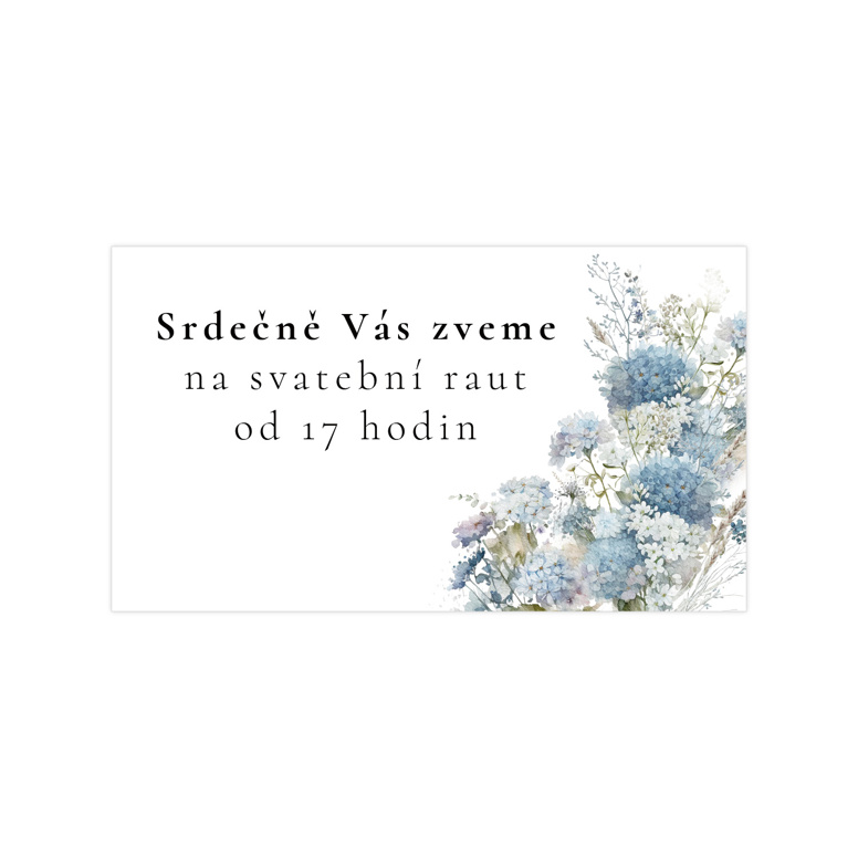 Pozvánka na raut 355