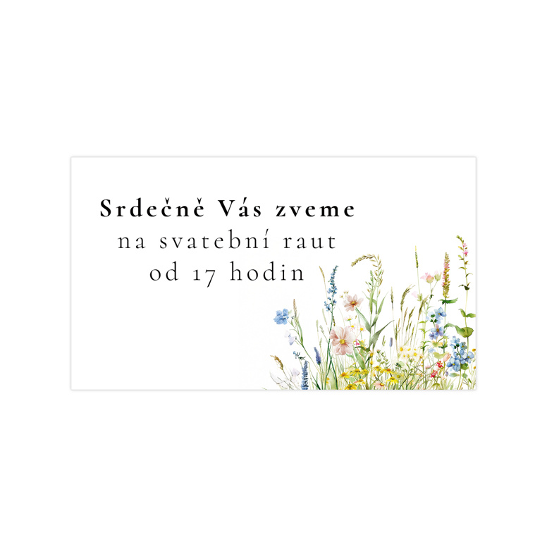 Pozvánka na raut 354