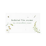 Pozvánka na raut 352